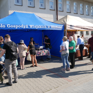 Święto Pieczonego Ziemniaka na placu przed biblioteką