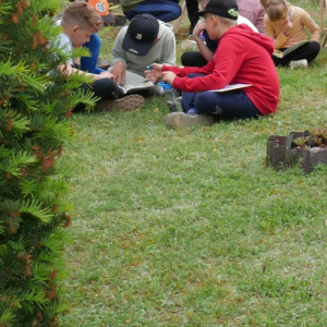 Czytanie na polanie